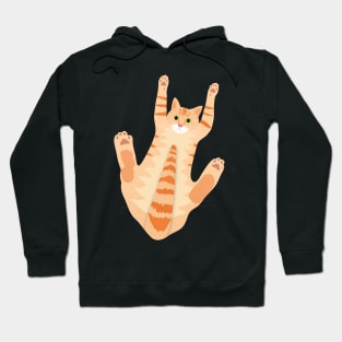 Orange Cat with Cats have 18 Toes Message Hoodie